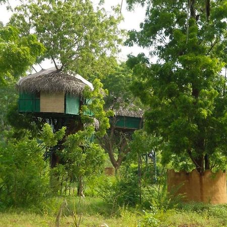 Hotel Yala Beddegama Eco Kataragama Zewnętrze zdjęcie