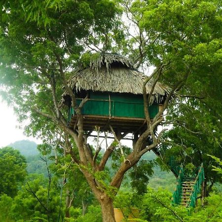 Hotel Yala Beddegama Eco Kataragama Zewnętrze zdjęcie