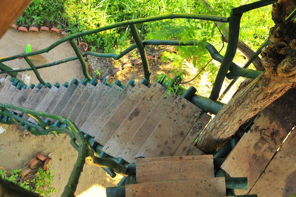 Hotel Yala Beddegama Eco Kataragama Zewnętrze zdjęcie