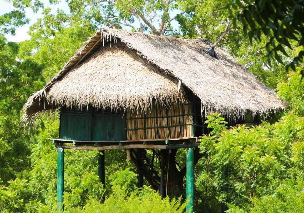 Hotel Yala Beddegama Eco Kataragama Zewnętrze zdjęcie
