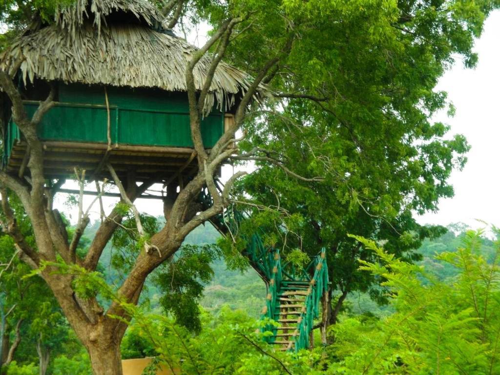Hotel Yala Beddegama Eco Kataragama Zewnętrze zdjęcie