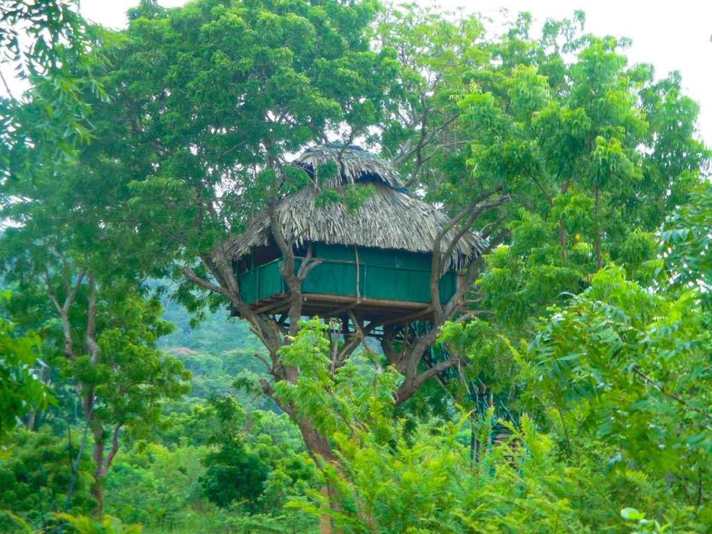 Hotel Yala Beddegama Eco Kataragama Zewnętrze zdjęcie