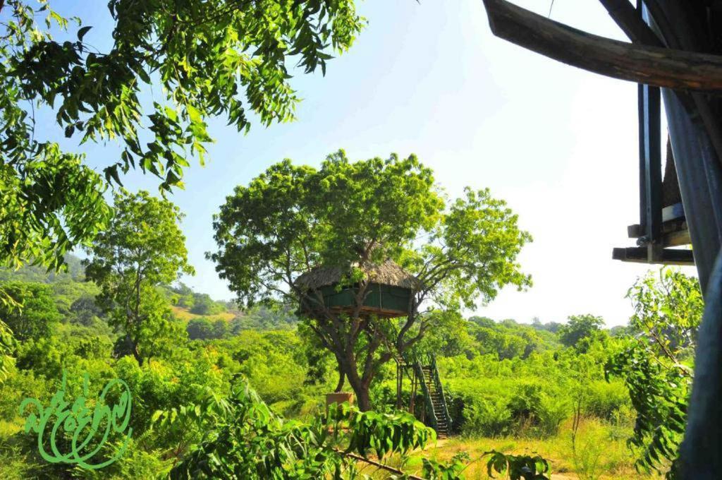 Hotel Yala Beddegama Eco Kataragama Zewnętrze zdjęcie