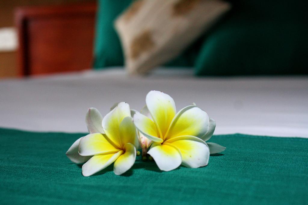 Hotel Yala Beddegama Eco Kataragama Pokój zdjęcie