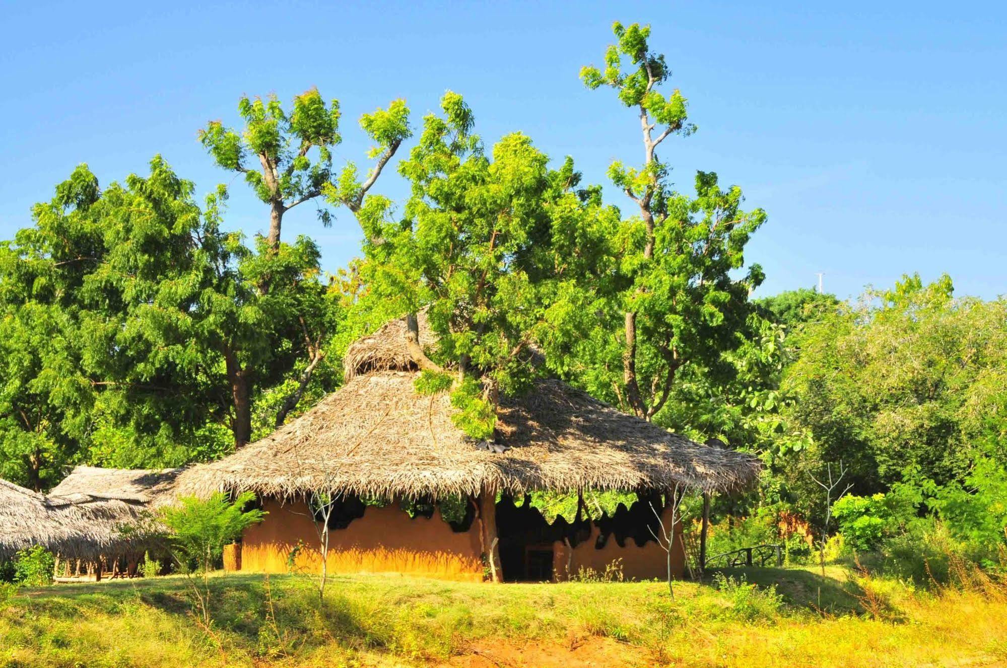 Hotel Yala Beddegama Eco Kataragama Zewnętrze zdjęcie